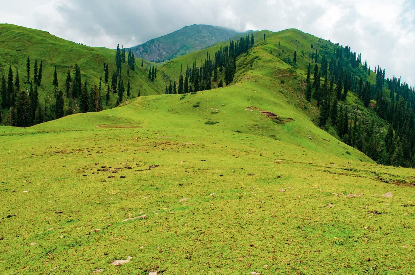 Shogran, the gem in Kaghan valley