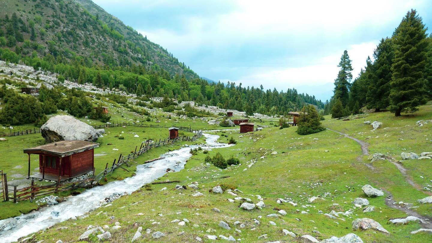 Crystal clear water streams gushing through the Fairy Meadows