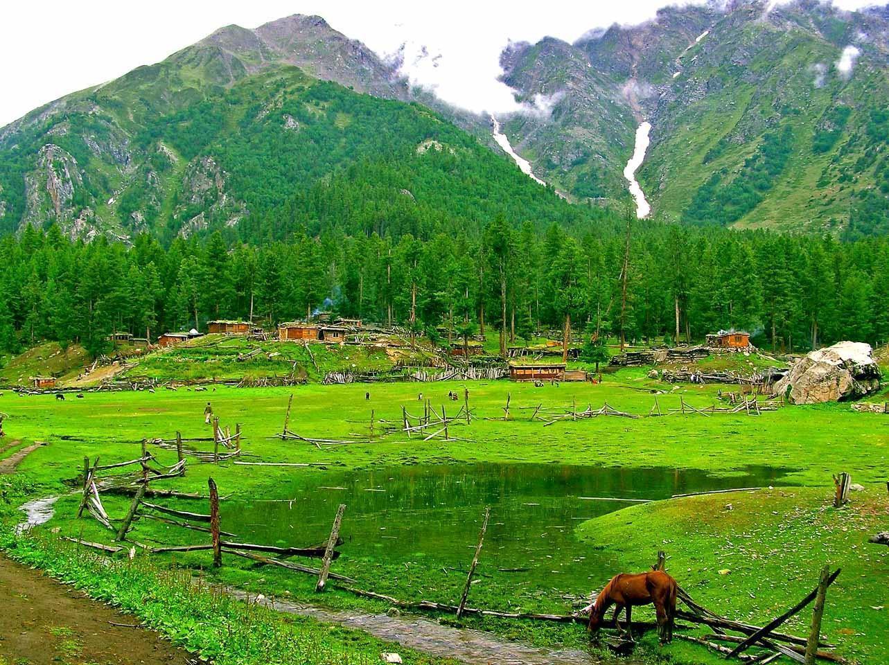Enchanting Landscape of Fairy meadows