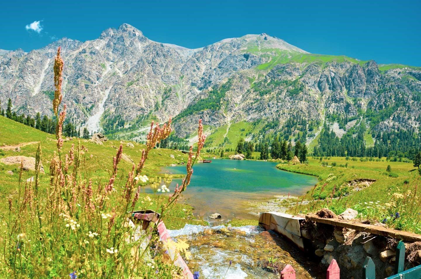 Heaven on earth: Minimarg