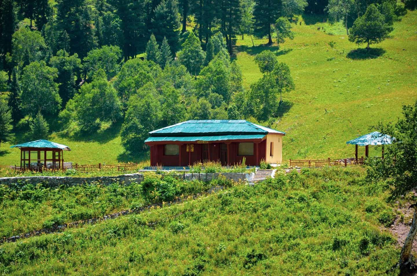 A cabin the woods: Minimarg