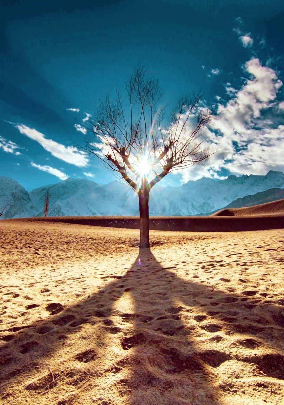 The Biama Nakpo, Katpana Desert