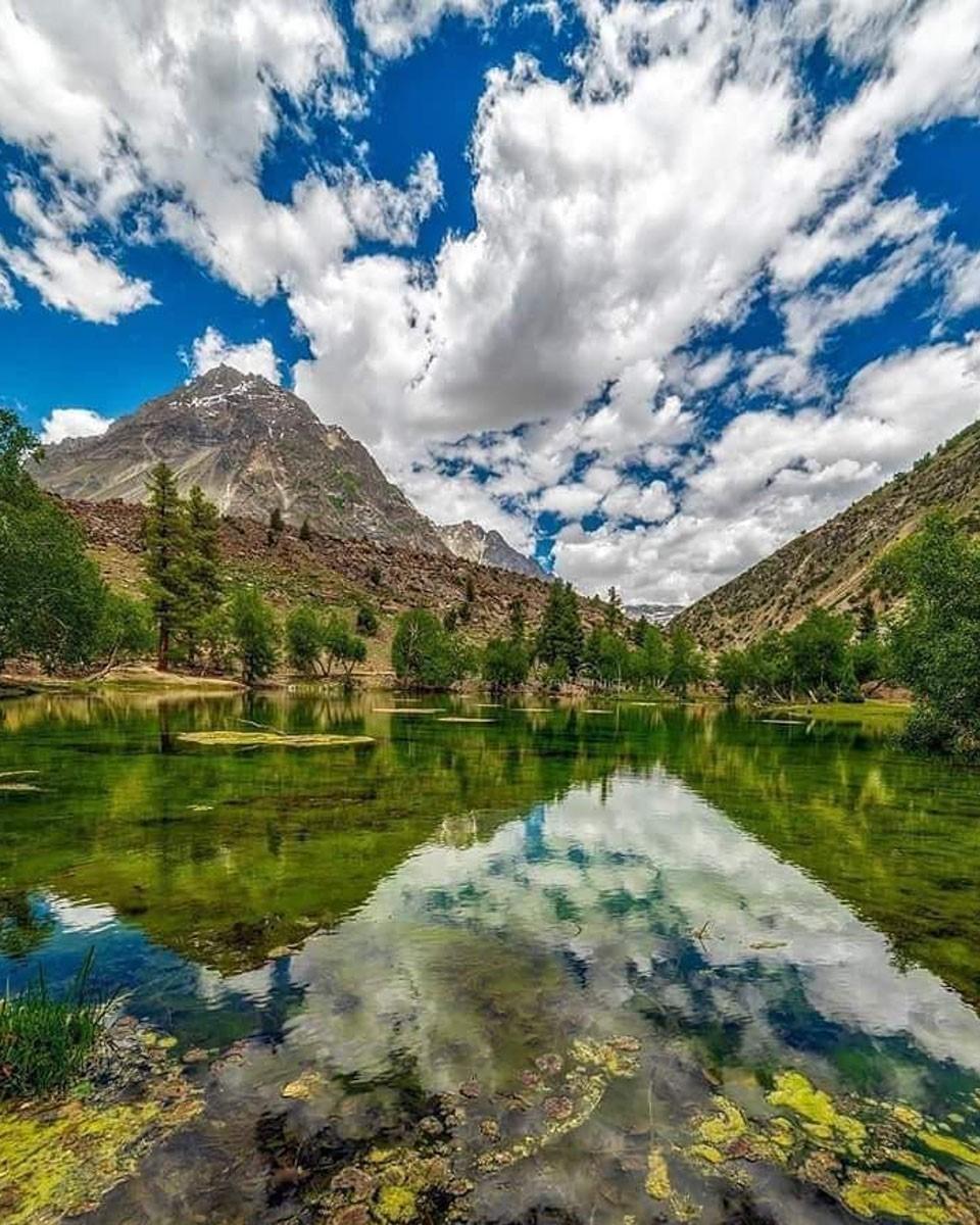 The secluded beauty, Naltar Valley