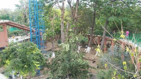 Bird Aviary- Islamabad