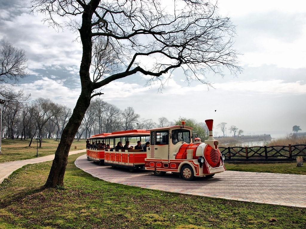 Kids and adults taking a train-ride