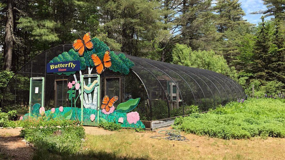 The Butterfly House in Jallo Park, Lahore