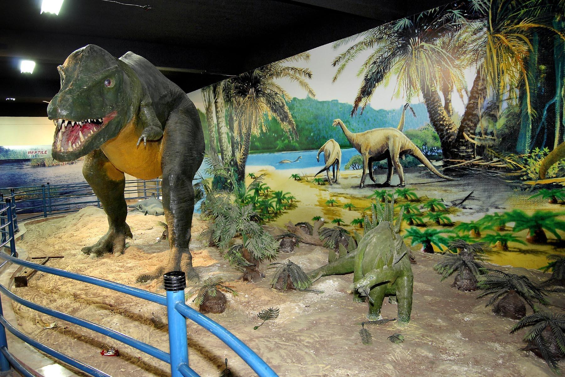  Front view of Carnivore Dinosaur from the Pakistan Museum of Natural History