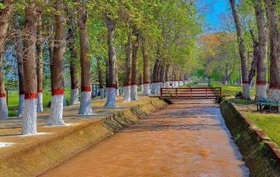 Changa Manga forest, Kasur, Punjab