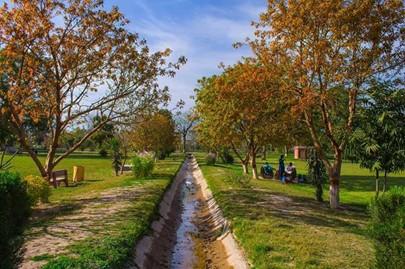 Beautiful sight of little canal of Changa Manga Forest Park