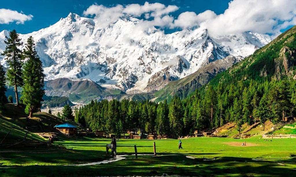 Fairy Meadows Tour
