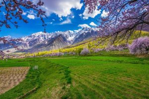 Beautiful View of Pakistan Image