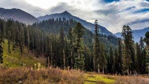 Naran Valley Image