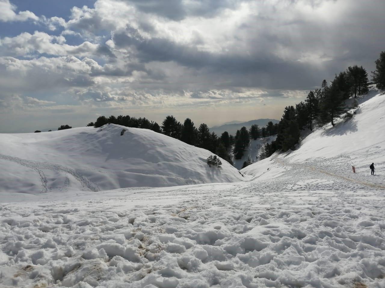 Miranjani image