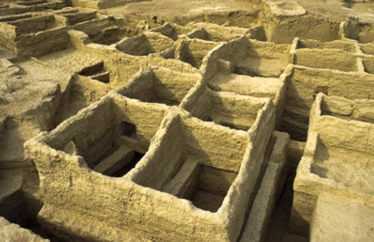Mehrgarh Information and Activities