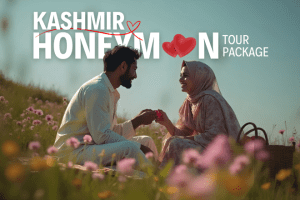 Kashmir Honeymoon Tour Package