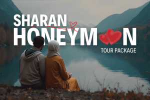 Sharan Honeymoon Tour Package