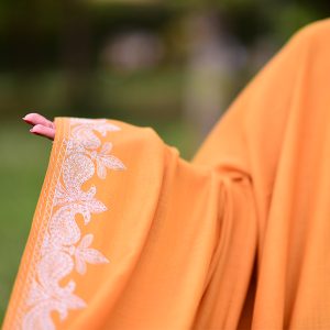 Tangerine Splendor Pashmina Classic Exuberant Border
