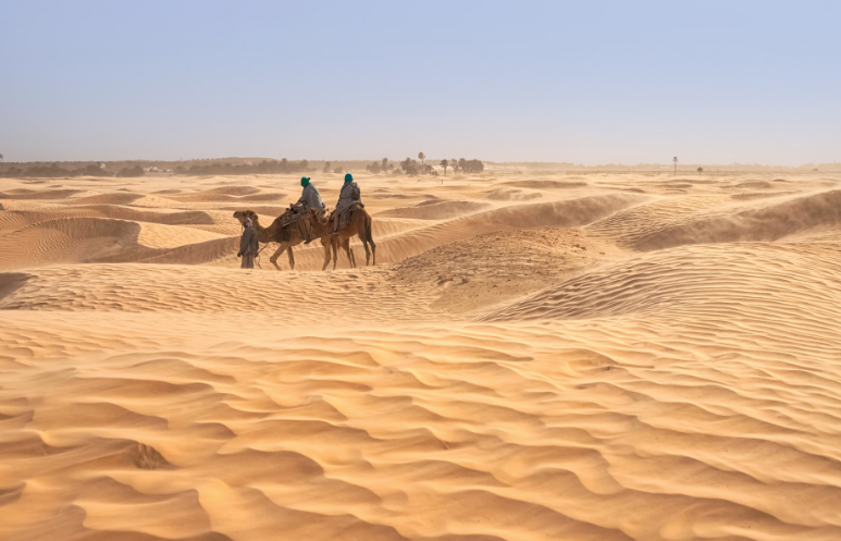 pakistan deserts