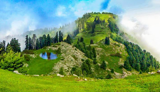 Forest walking trail near Nathia Gali leading toward Mushkpuri